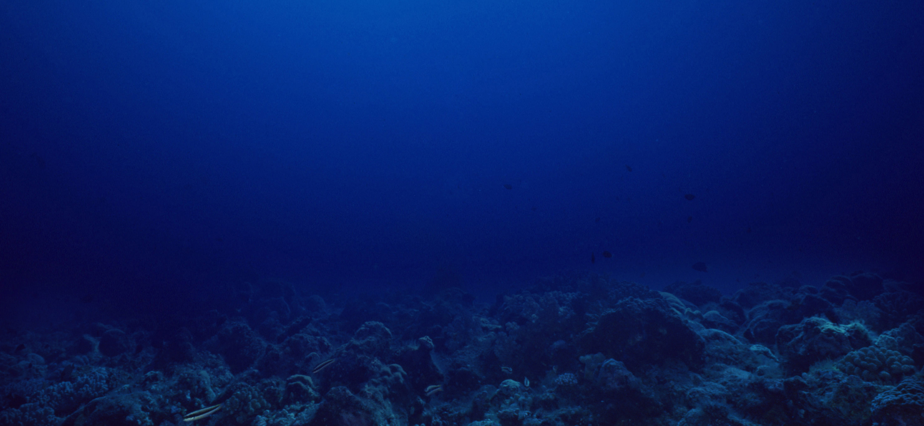 Deep seabed