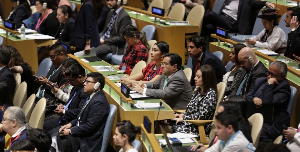 The annual session of the UN Permanent Forum on Indigenous Issues. (Photo by UN Women)