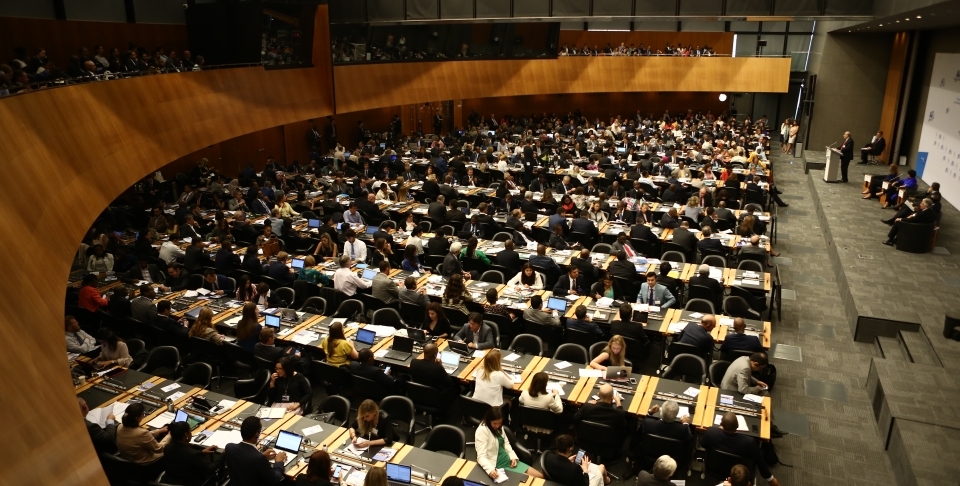 Aid for Trade, which underwent global review in 2017, will focus on women's economic empowerment in upcoming initiatives. (WTO/Jay Louvion)