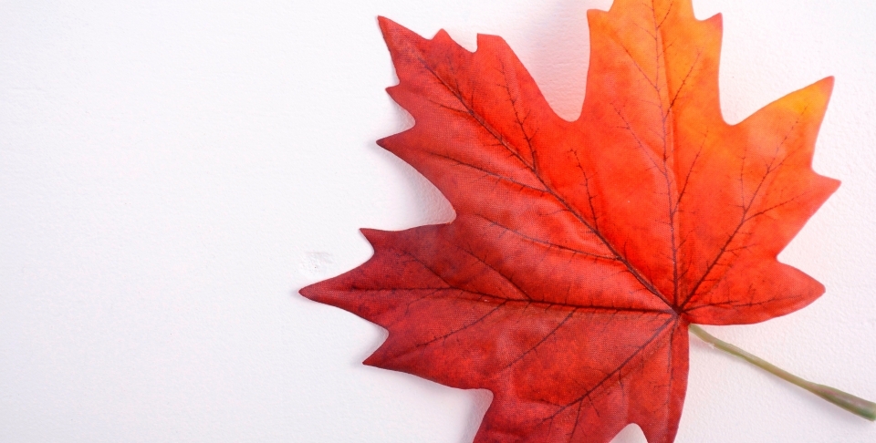 Canada in International Law: At the Inflection Point