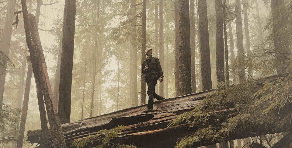 Promotional still from the film "The Serengeti Rules" (Passion Pictures)