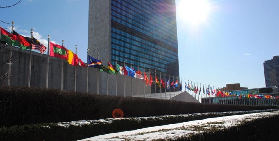 World Refugee Council