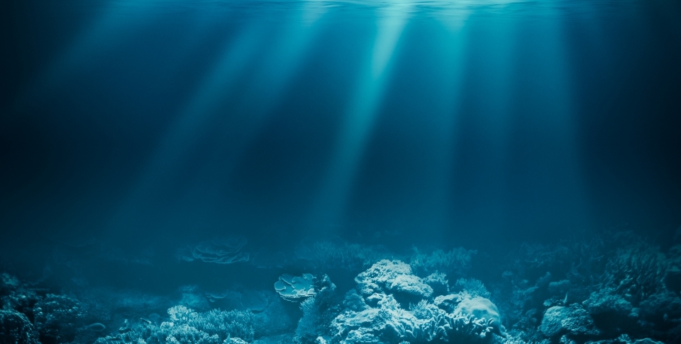 Seabed