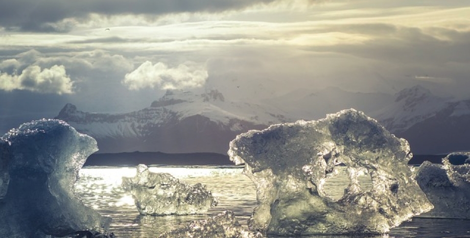 Arctic