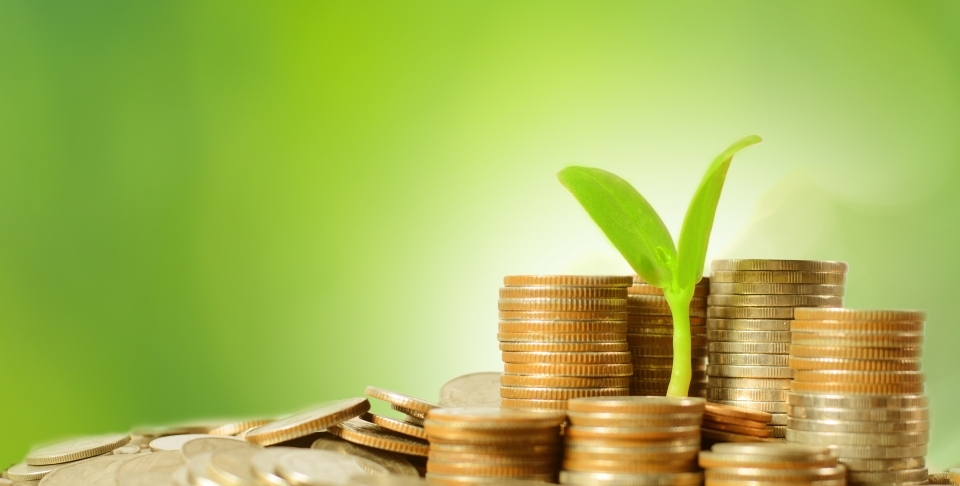 The Pathway to a Green Finance Roadmap
