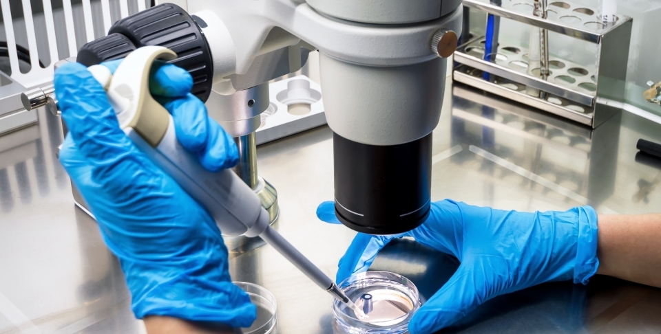 Scientific innovation