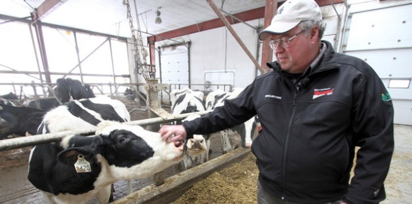 James Callaghan with one of the 250 cows that are milked in the Maryland Farms' dairy and biogas farming operation. (Photo David Dodge, Green Energy Futures via Flickr CC).