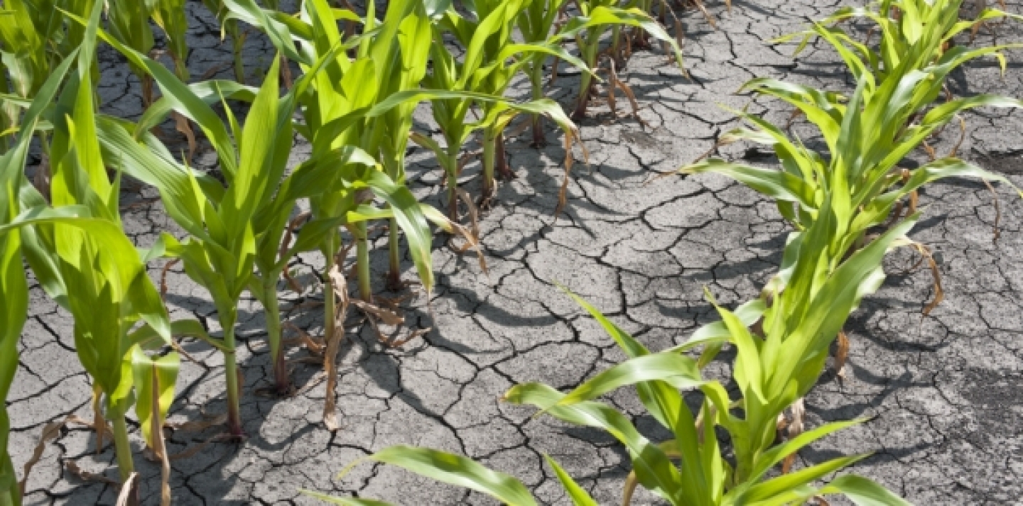 A "summer drought of policy leadership" could have dire consequences for the global economy (Shutterstock photo).