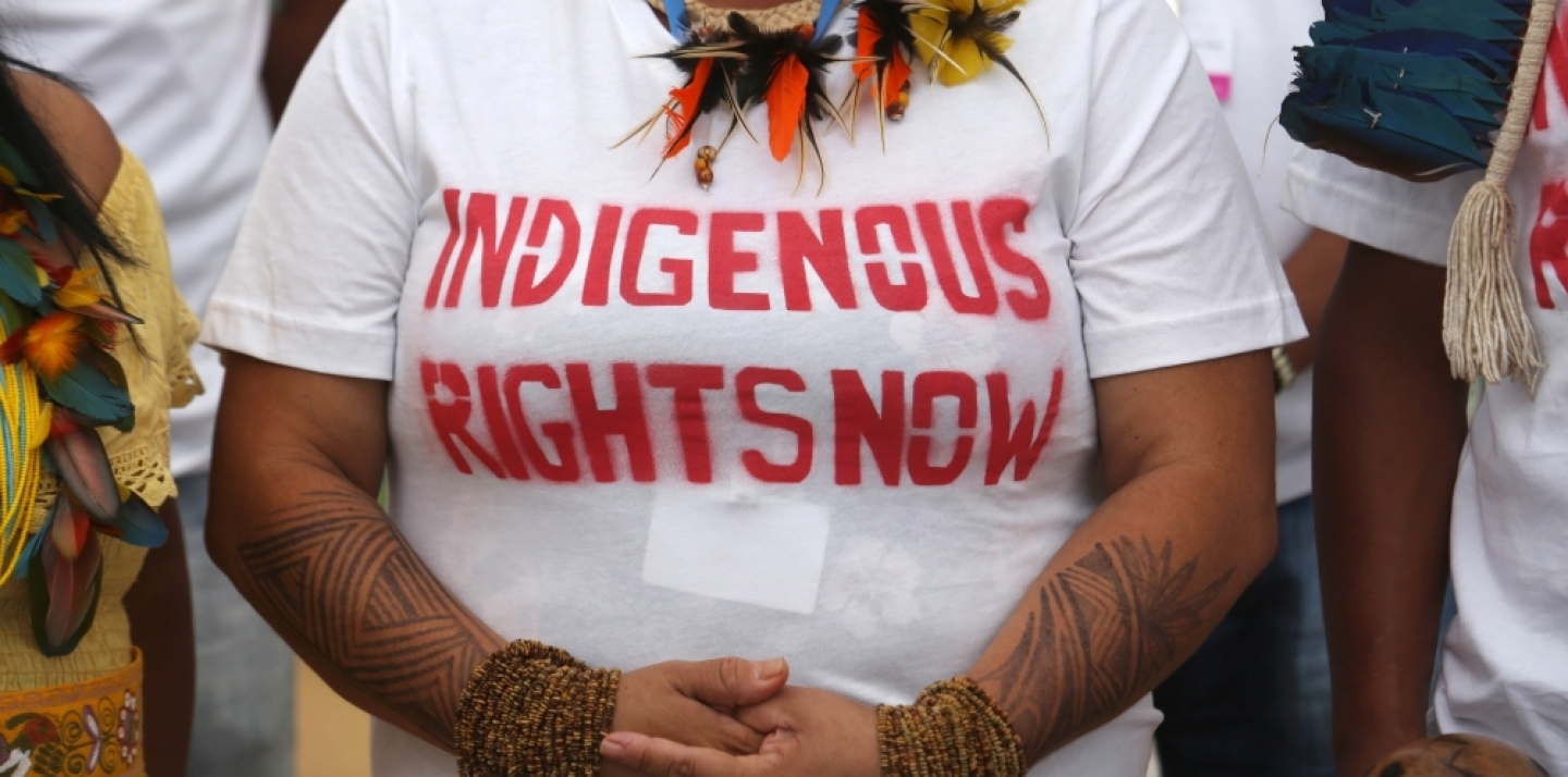 An Indian woman from the Brazilian Amazon region participate in a protest for Indigenous rights during the Climate Change Conference in Lima, Peru in December 2014. (AP Photo/Martin Mejia)