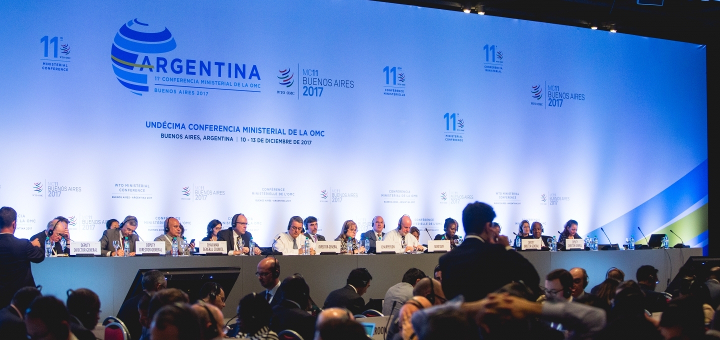 The World Trade Organization Heads of Delegation meeting. (WTO/Cuika Foto)