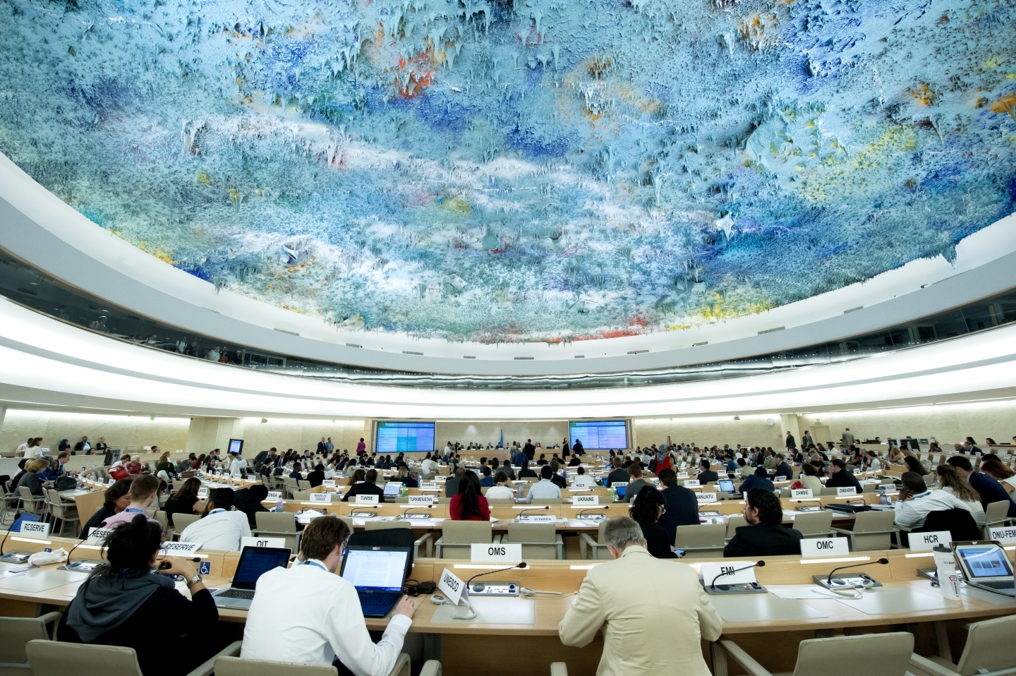 A meeting of the United Nations Human Rights Council. (UN Photo/Jean-Marc Ferré)