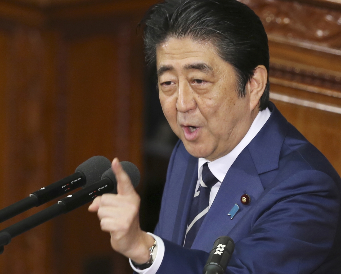 Japanese Prime Minister Shinzo Abe (AP Photo/Koji Sasahara)