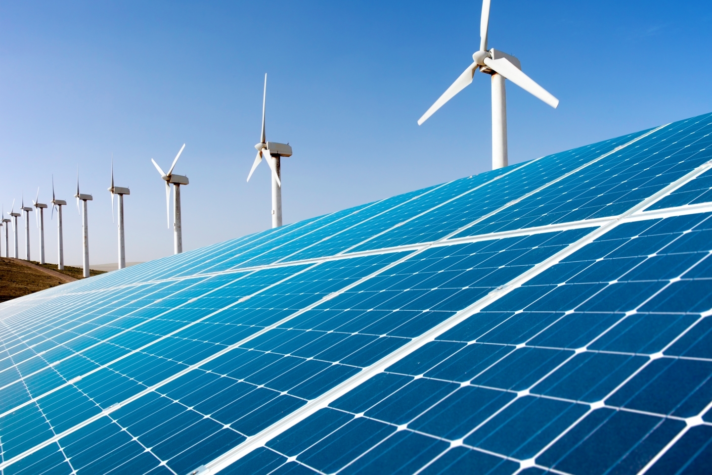 Greening the Economy