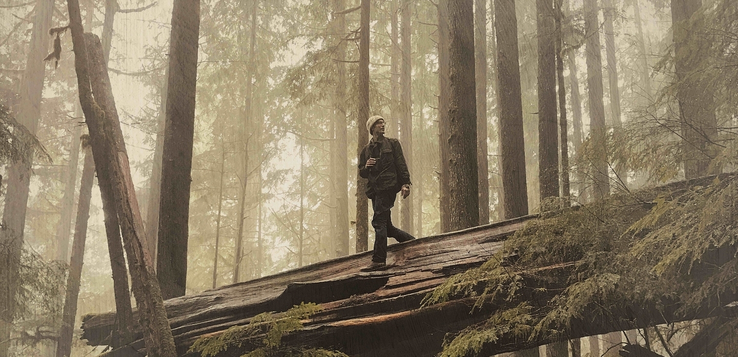 Promotional still from the film "The Serengeti Rules" (Passion Pictures)