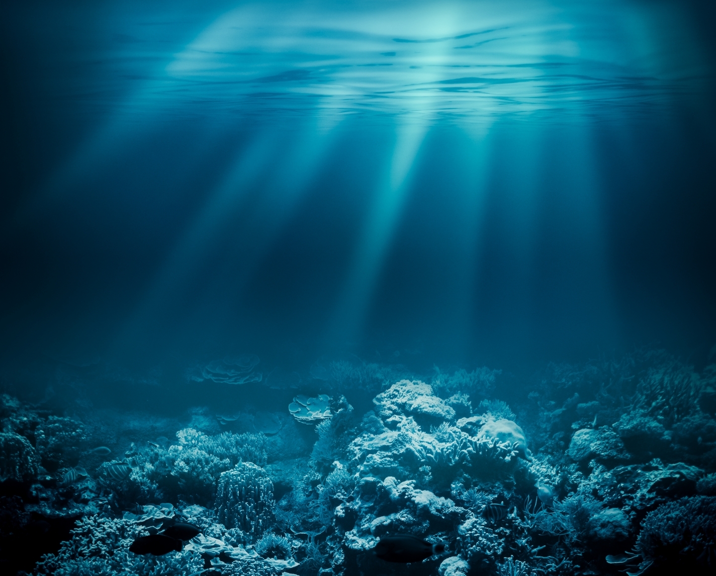 Seabed