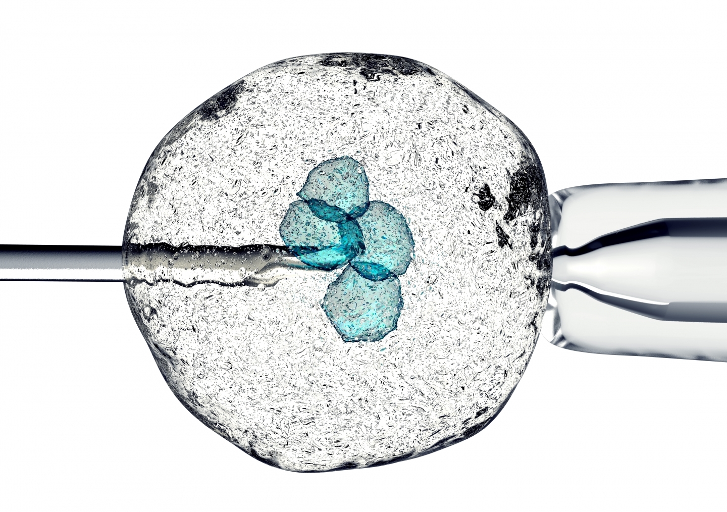 3D illustration of a cell being held by pipet and a needle.