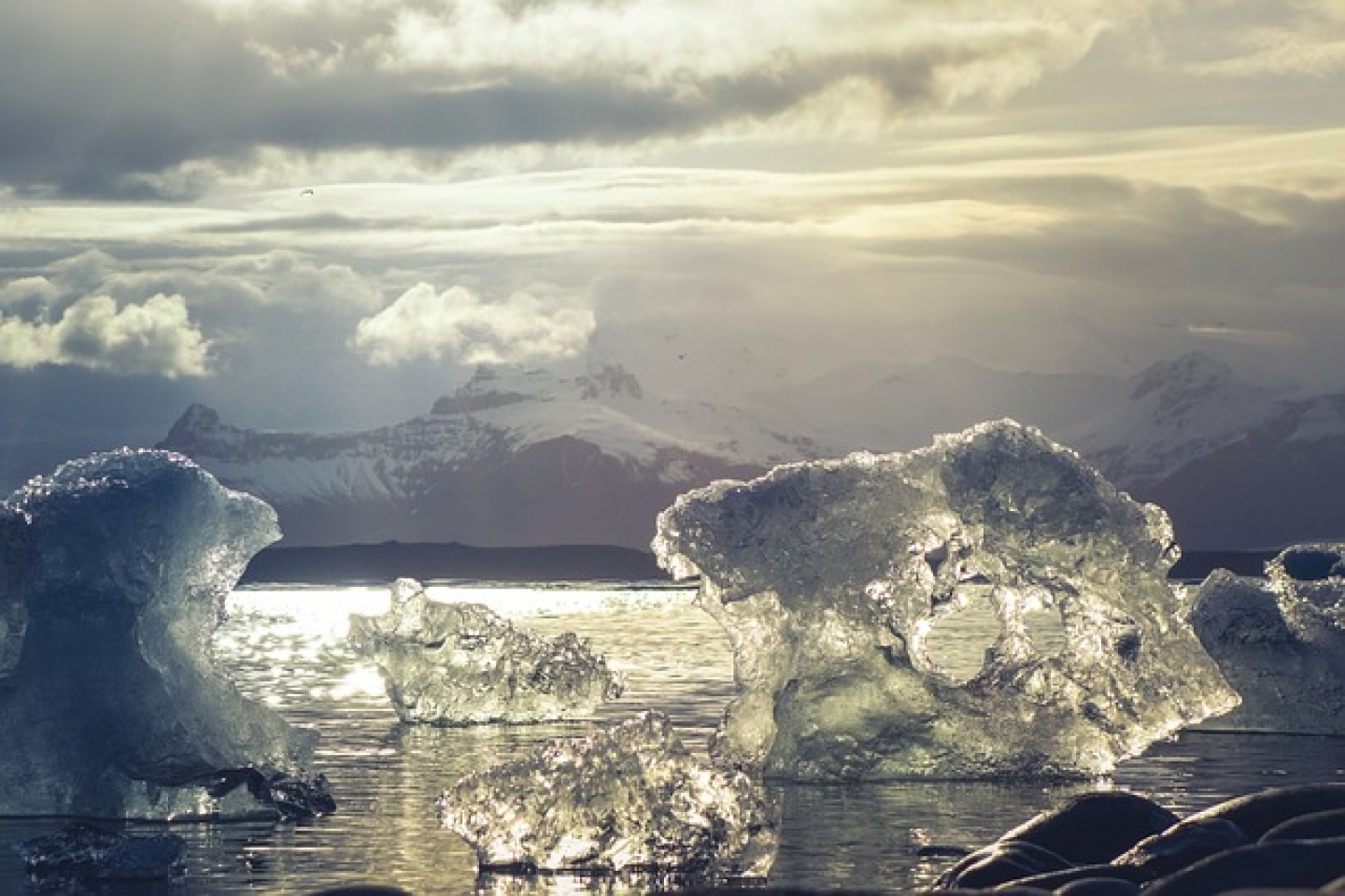 Arctic