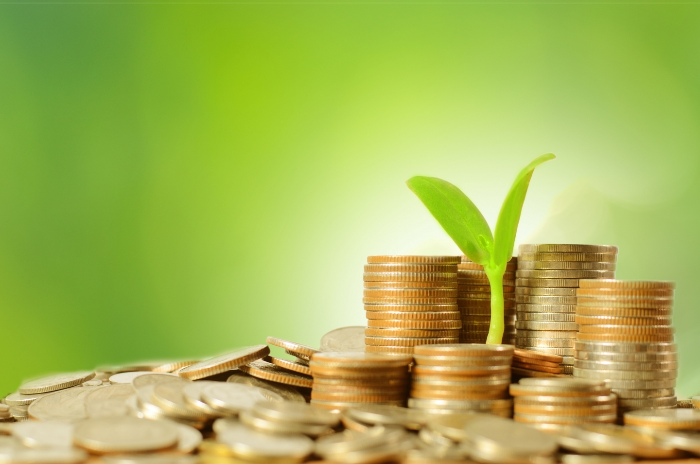 The Pathway to a Green Finance Roadmap