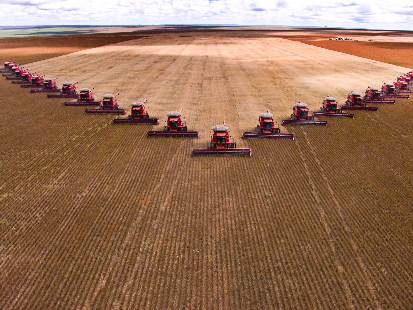 Mass soybean harvesting/Stock photo