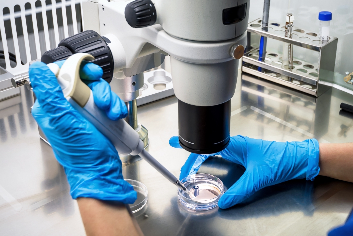 Scientific innovation