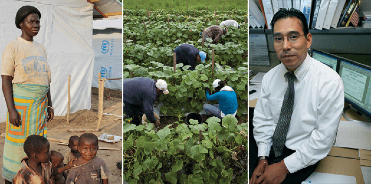 Mariet, a refugee from Ivory Coast, now in Liberia is pictured with four of her children (Department for International Development via Flickr/Derek Markwell). Migrant workers from Mexico pick cucumbers in Blackwater, Virginia (Bread of the World via Flickr/Laura Elizabeth Pohl). Alcides Hernandez, a skilled El Salvadorian emigrant, is seen at his job in California. (AP Photo/Steve Yeater)