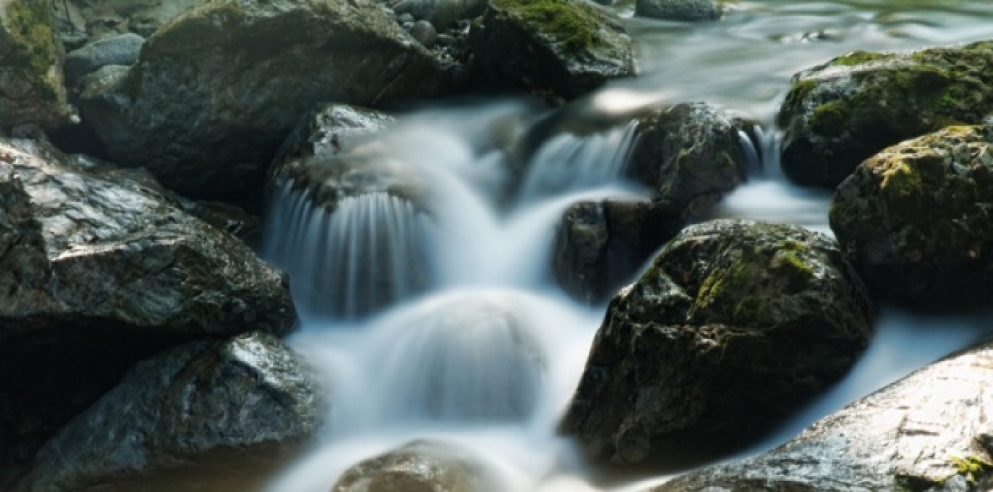 (AP MicrostockRF)