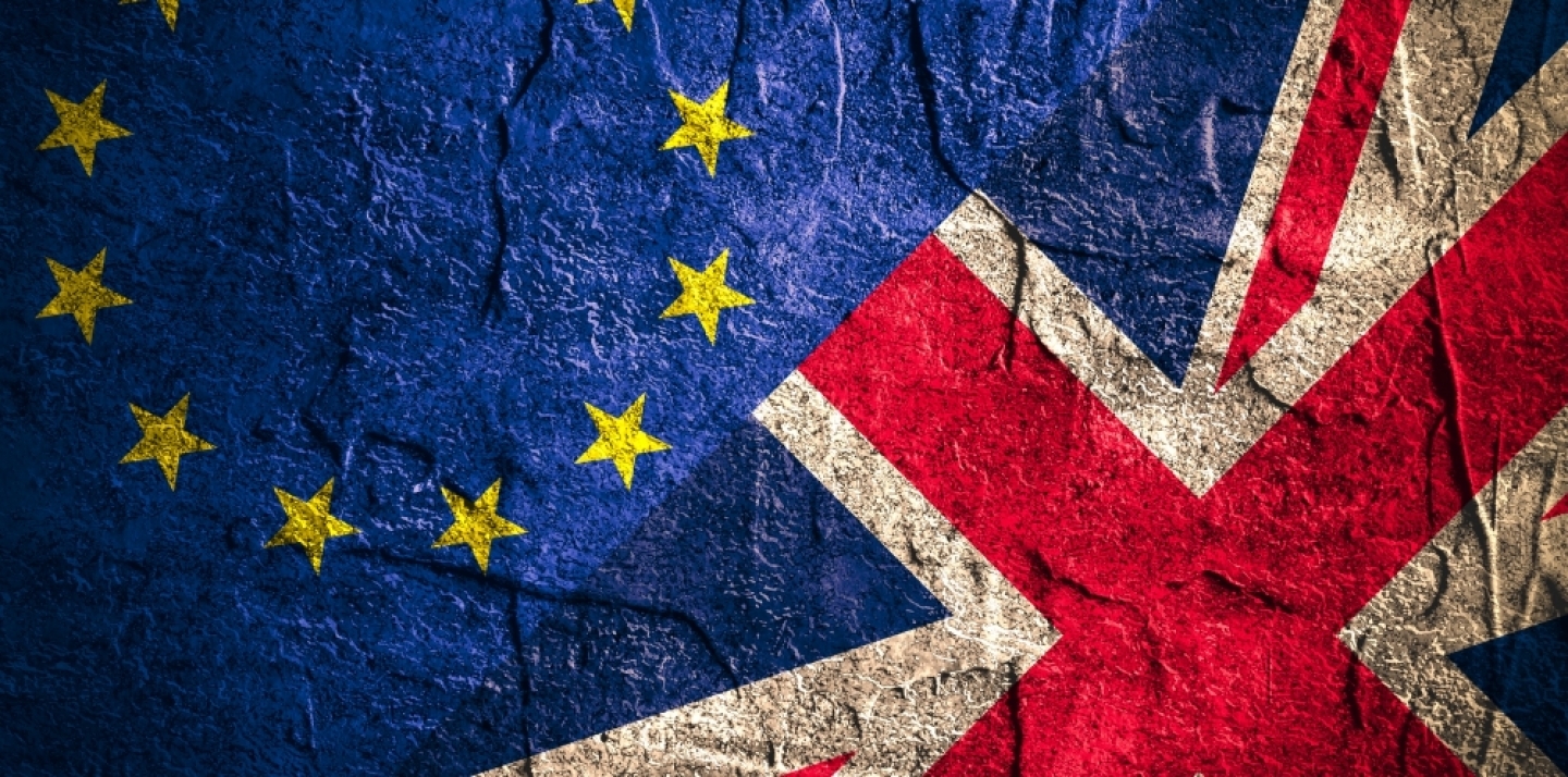 Regardless of the popular vote, the English, the Northern Irish and the Scottish have a right to rule of law, writes Fitzgerald. (Shutterstock)