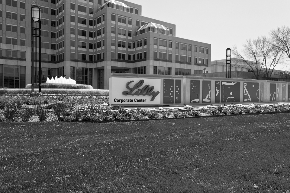 Eli Lilly’s use of NAFTA’s investor-state dispute resolution process in respect of its patents is emblematic of the new construction of IP as an investment. (Photo: Jonathan Weiss / Shutterstock.com)