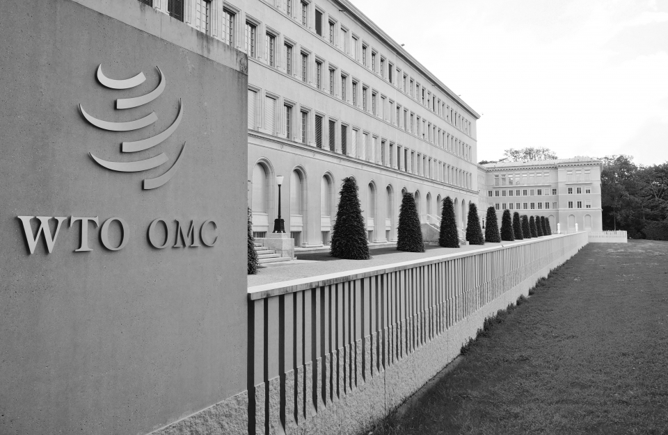 Since the TRIPS agreement has an MFN clause, any concession made to another country within the context of a bilateral trade agreement presumably applies to all other WTO member countries. (Photo: EQRoy / Shutterstock.com)