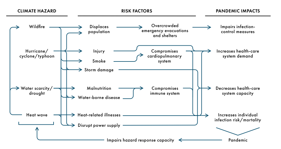 Note: The following sources were used to create the flow chart: www.nytimes.com/2020/08/04/climate/hurricane-isaias-apple-fire-climate.html, doi:10.2105/AJPH.2020.305744 and doi:10.1038/s41558-020-0804-2.