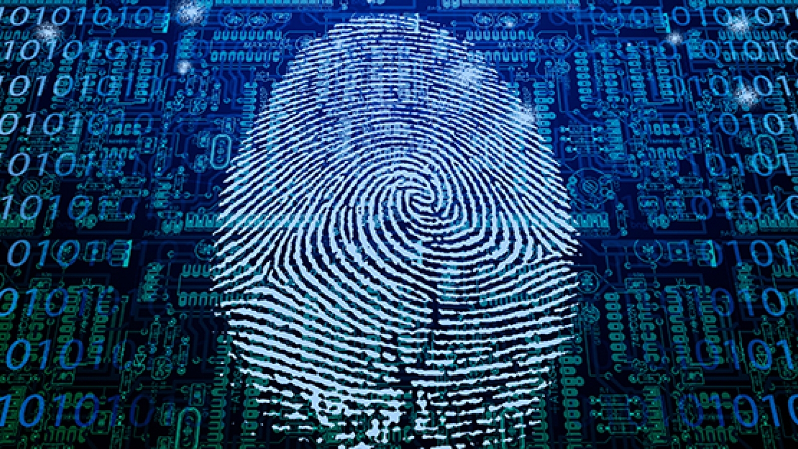 Dark Net Market Links 2022
