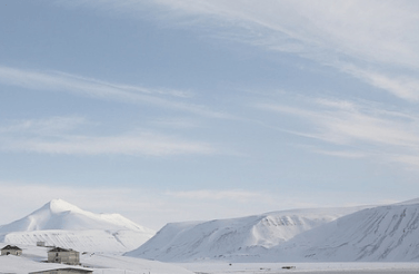Arctic landscape