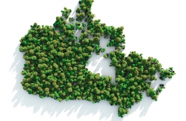 Image of Canada with trees