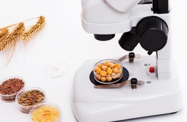 microscope