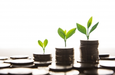 Revenue canada employee stock options