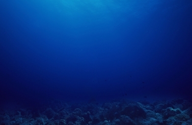Deep seabed