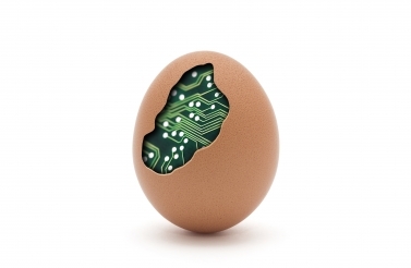 Cracked egg with motherboard inside