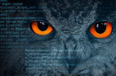 owl eyes