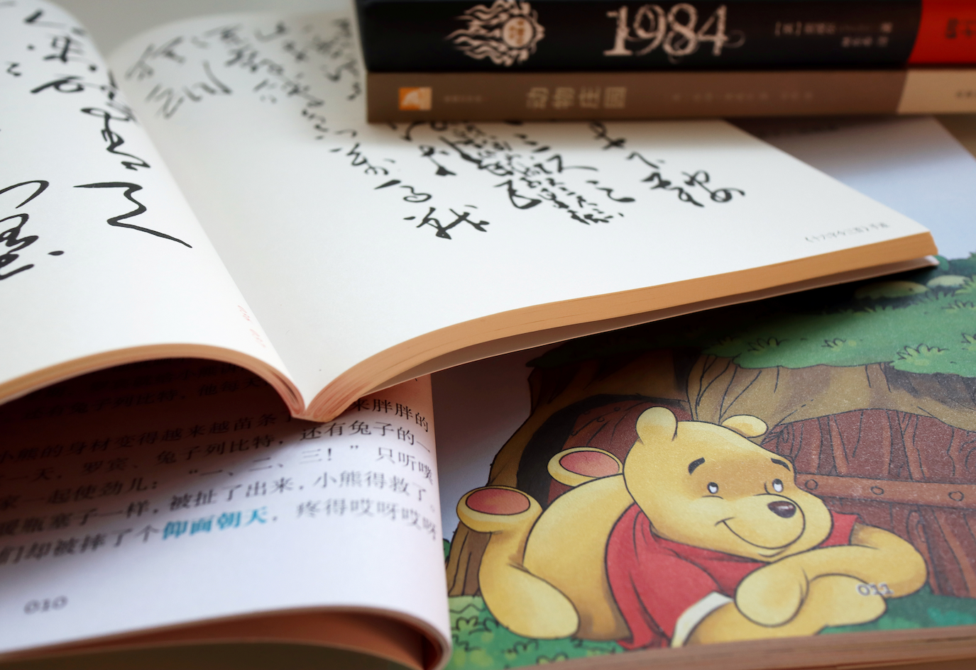 19842020-07-09T000000Z_219450747_RC2NPH9KSXA9_RTRMADP_3_CHINA-BOOKS.png
