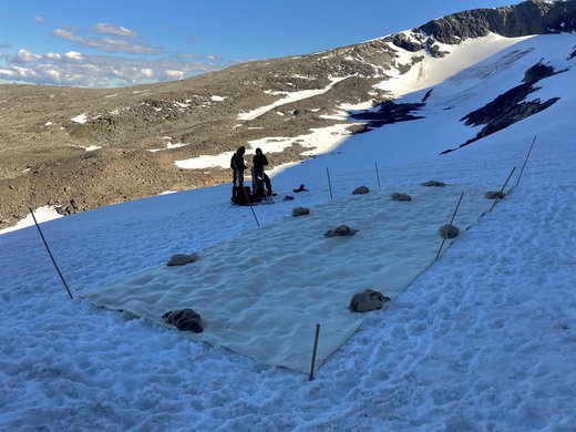 2021-10-06T103104Z_1_LYNXMPEH950GF_RTROPTP_4_CLIMATE-CHANGE-SWEDEN-GLACIER.jpg