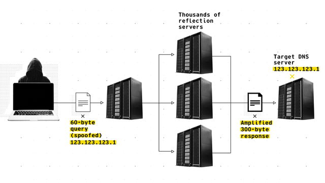 CIGI-DNS-graphic.png