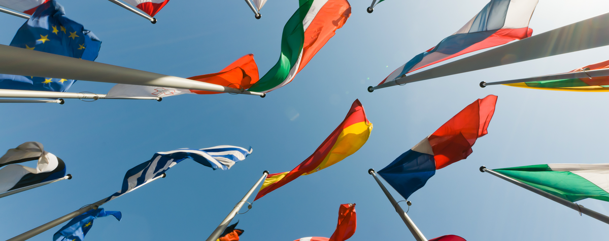 Flags of G20 countries (Shutterstock)