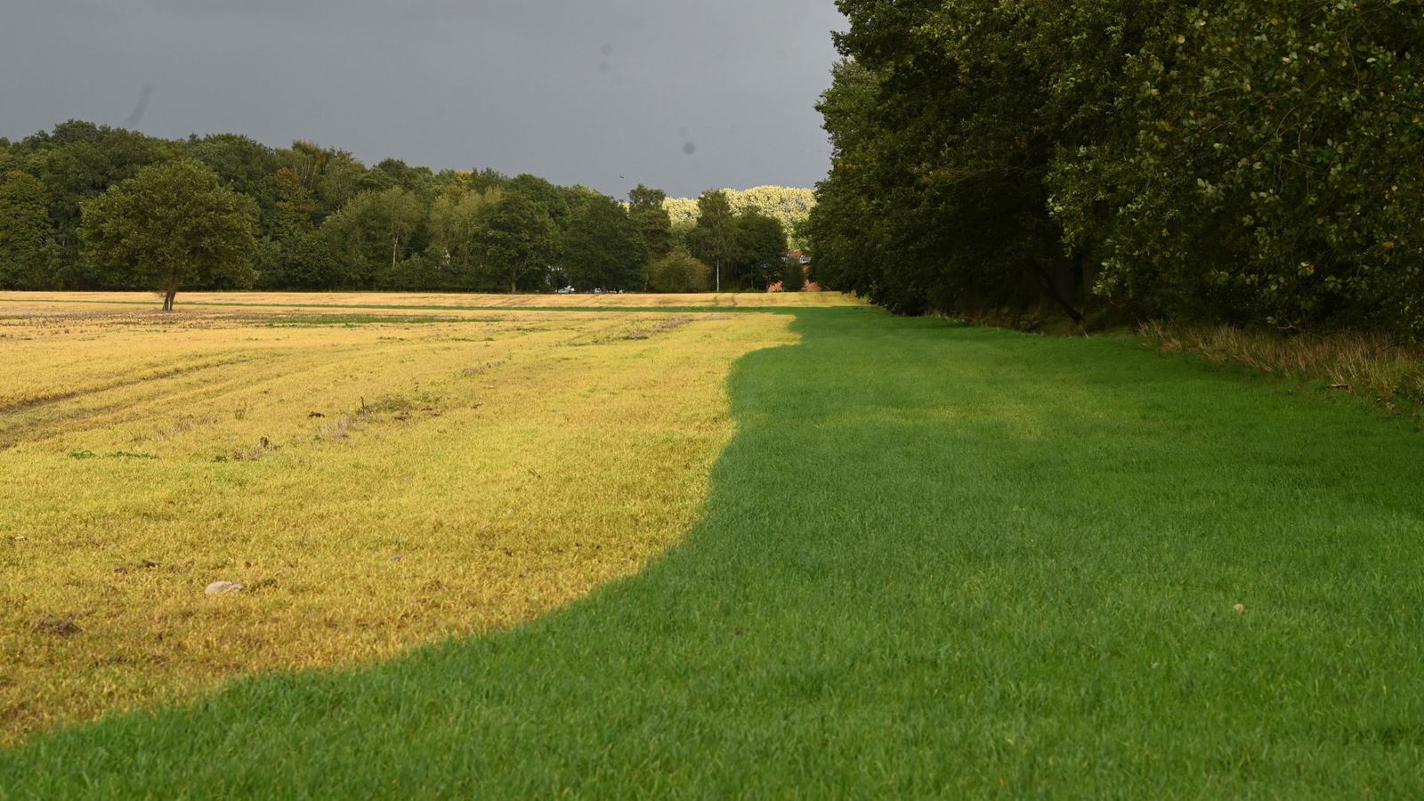 In Trade, the Customer Is Always Right. Glyphosate Proves It