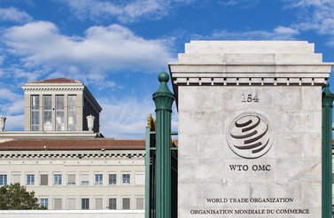 WTO-Thumbnail.jpg