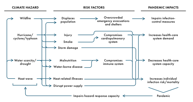 cadham-fig.png