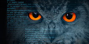 owl_eyes.cover_.jpg