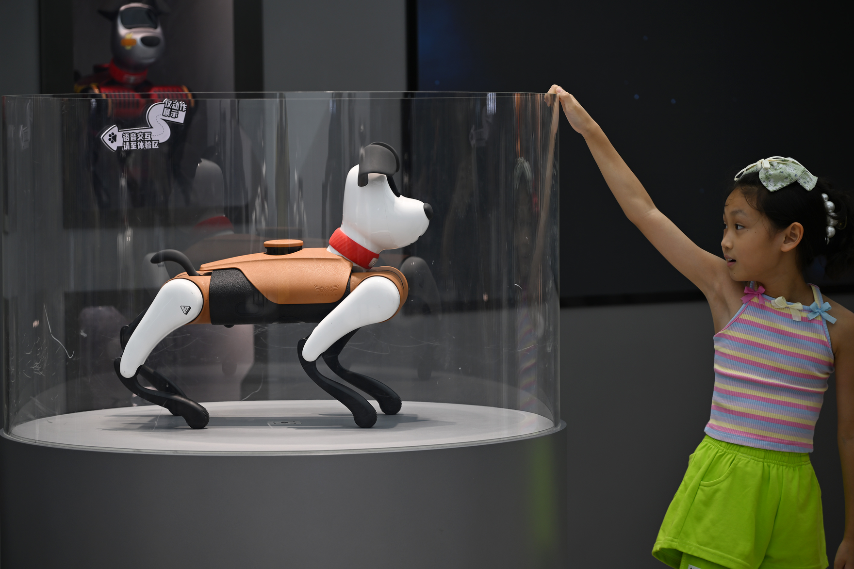 robotdogss